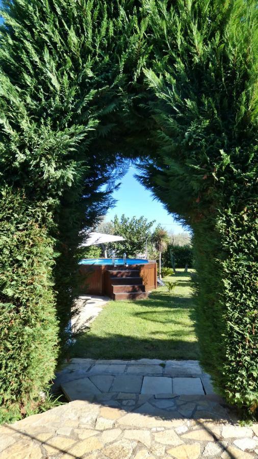 Villa Piana - Con Piscina E Giardino Privato Nel Salento 特里卡塞 外观 照片